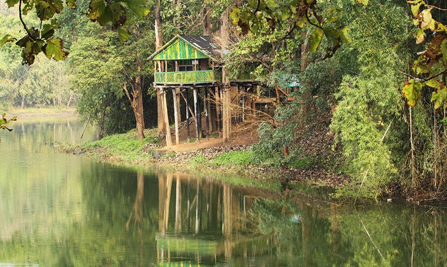 Treetop hut at Parambikulam Tiger Reserve