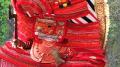 Theyyam- Neeliyar Bhagavathi