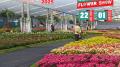 Cochin Flower Show