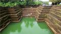 Peralassery Temple pond in Kannur- National water Heritage site